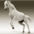 घोड़ो के बारे में 25 रोचक तथ्य । Horse In Hindi